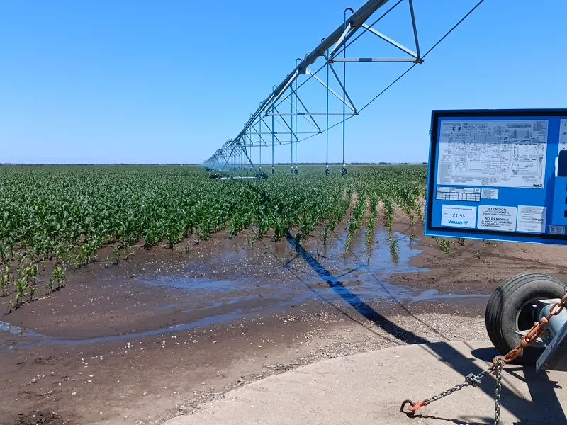 Instalación eléctrica de un sistema de riego en el campo
